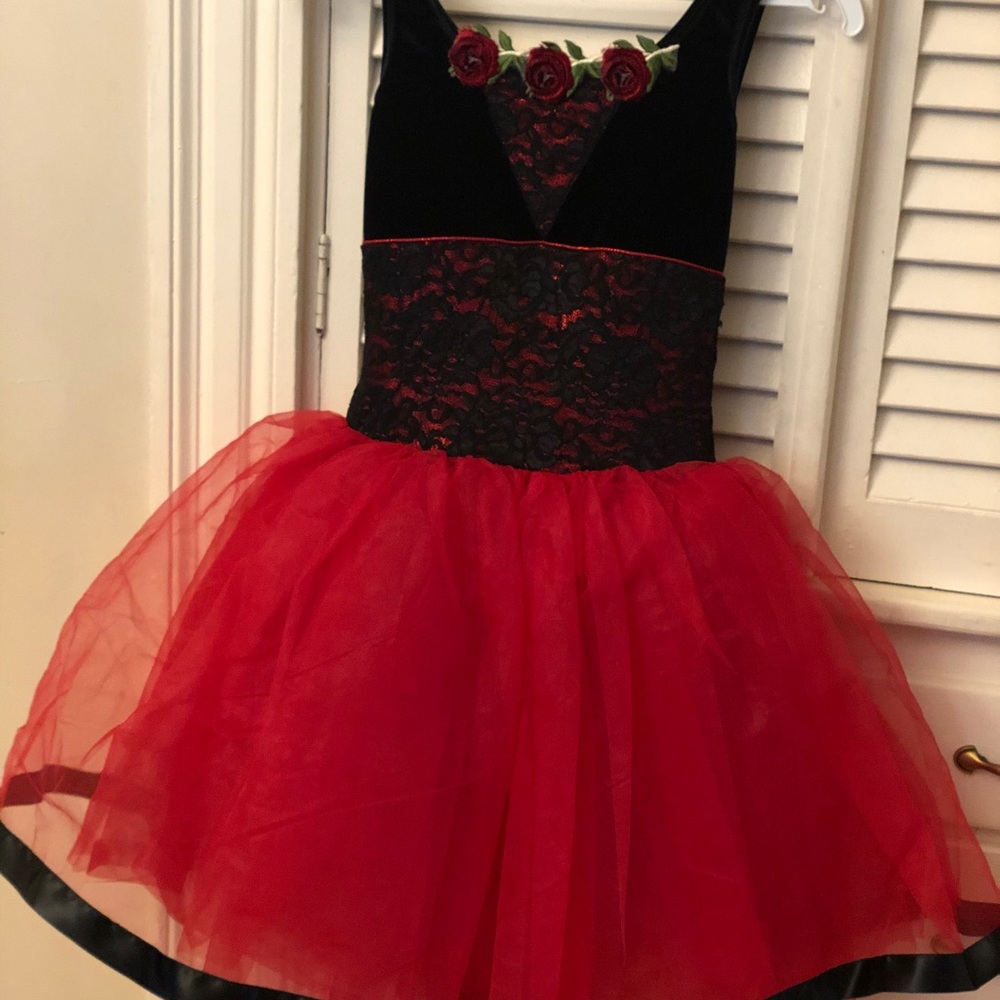 Beautiful ballet style dress